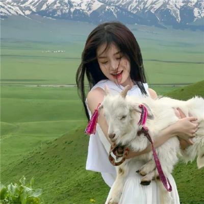 暹罗复兴录 在线观看封面
